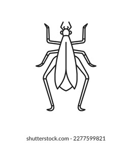 Tree cricket insect icon. High quality black vector illustration.