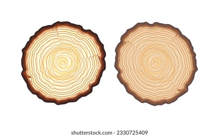 Tree, cross cut with bark, round shape