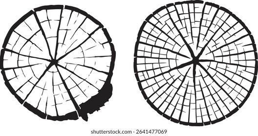 Tree cross section illustrations detailed design, Wood rings for nature graphic themes