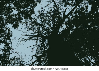 tree crown, black and white negative