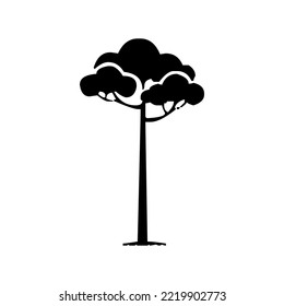 Tree with crown and branches, nature, graphic, vector, illustration in black color, isolated on white background