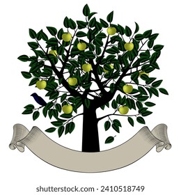 Tree crown with green leaves and ripe apples, blue bird sitting on a branch and ribbon retro banner. Vintage color engraving stylized drawing. Vector illustration