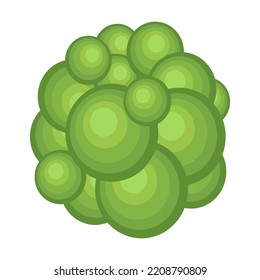 Tree crown. Top aerial foliage, park, forest, garden plants isolated on white. Vector illustration for landscape, nature, ecology concept