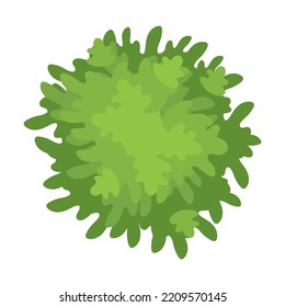 Corona de árbol. Vista aérea superior, vegetación, parque, bosque, plantas de jardín aisladas en blanco. Ilustración vectorial para paisaje