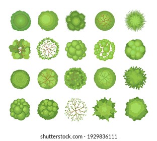 Tree crowns set. Top aerial view, green foliage, park, forest, garden plants isolated on white. Vector illustrations for landscape, nature, ecology concept