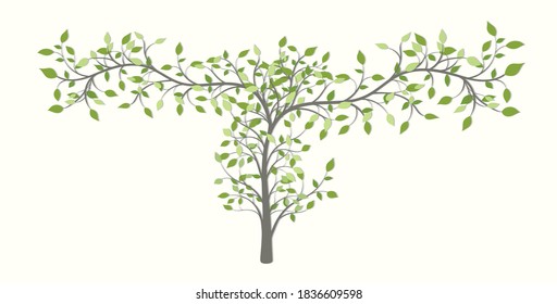 Tree with curved branches in different directions with green leaves on a light background