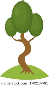 árbol con un tronco largo curvado y hojas verdes fluctúan el concepto superior de plantas forestales y objeto natural sobre un fondo blanco