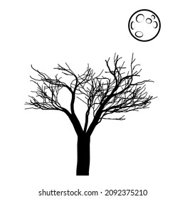 Tree Dark Scary Flat Icon Isolated On White Background