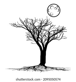 Baum, dunkel, gröblich, flaches Symbol einzeln auf weißem Hintergrund