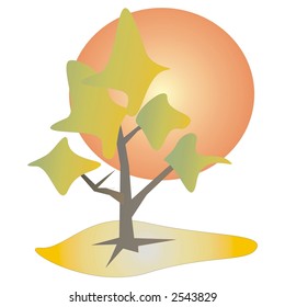 Tree in daylight