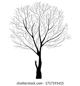 Tree dead tree branch icon