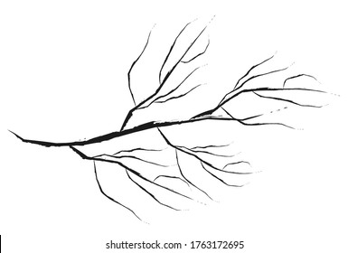 Tree dead tree branch icon