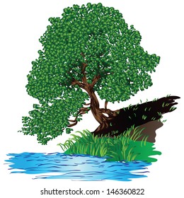 Tree with dense green foliage of the pool. Vector illustration.