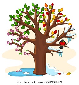 Tree and depicting it summer, winter, spring and autumn