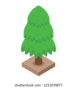 
A tree is depiction of nature and forest
