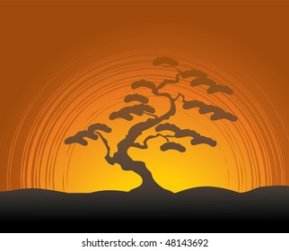 Tree in the desert