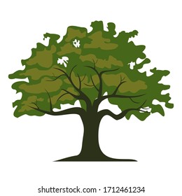 
tree design in cartoon style. illustration of a tree in a flat style.