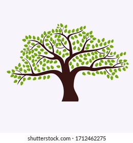 
tree design in cartoon style. illustration of a tree in a flat style.