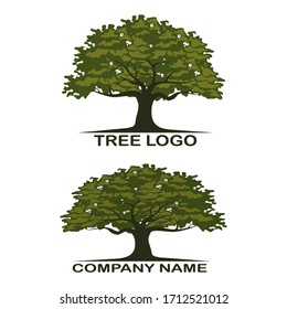 tree design in cartoon style. illustration of a tree in a flat style.