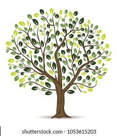 Tree Design Illustration