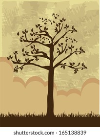 tree design over pattern background vector illustration   