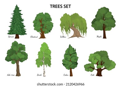 Tree diagram composition with set of isolated botanical species icons and ornate text captions for each vector illustration