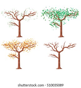 tree in different seasons, vector illustration. trees of temperate climate of the middle band. Isolated on a white background.