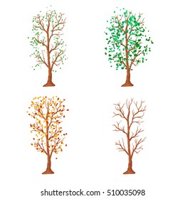 tree in different seasons, vector illustration. Isolated on a white background.