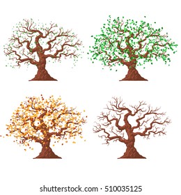 tree in different seasons, vector illustration. Isolated on a white background.