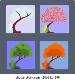 Tree in different seasons of the year