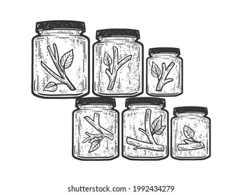 Tree is divided into parts in glass jars. Modern Art. Tinned tree metaphor. Line art sketch engraving vector illustration. T-shirt apparel print design. Black and white hand drawn image.