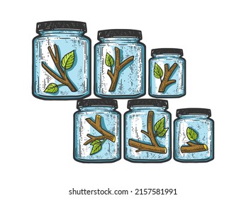 Tree is divided into parts in glass jars. Modern Art. Tinned tree metaphor. Line art color sketch engraving vector illustration. T-shirt apparel print design. Black and white hand drawn image.