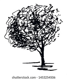 Tree doodle. Single, hand drawn black tree, isolated on white background. Simple vector illustration.