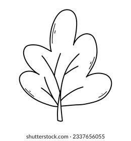 Tree in doodle style. Vector illustration. Linear tree, bush.