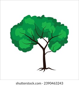 Tree drawign stock vector illustration