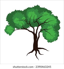 Tree drawign stock vector illustration
