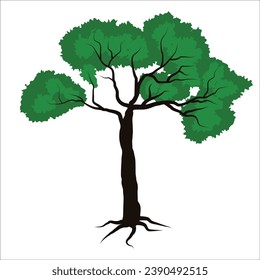 Tree drawign stock vector illustration