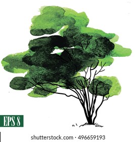 
Tree, drawing by hand. Spots green watercolor paints.