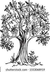 tree, tree drawing, crown, deciduous tree