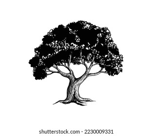 Tree drawing for illustrator vector art