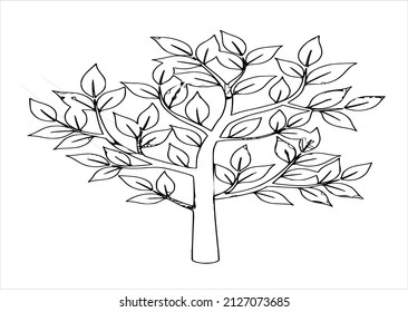 
A tree drawing on a white background.