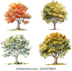 Tree Drawing painted with watercolors on a white background,Watercolor trees collection. Vector set