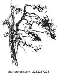 Tree drawn. Sketch drawn by black ink, hand drawing