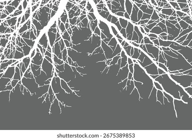 Baum getrocknete Zweige und Zweige von weißer Farbe auf schwarzem Hintergrund. Silhouette monochrome Negativbild. Vektorgrafik
