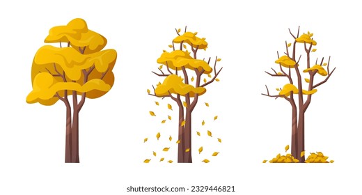 Tree during autumn season, isolated deciduous perennial plant with falling yellow leaves. Strong gust of wind and weather change, falling down leaves. Vector in flat style