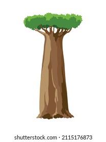 Tree. Eco concept of nature plant. Vector flat green baobab tree icon isolated on white background. Garden botanical element