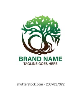 tree ecology logo vector. tree illustration botani logo business