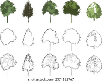 Tree elevation line silhouettes - CAD