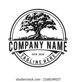 tree emblem in a circle. vintage retro logo design concept.