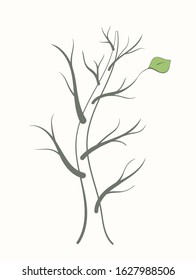 Tree with empty branches and a lonely green leaf on a white background